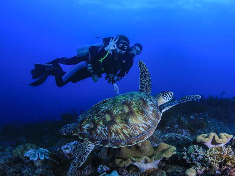 Hurghada diving intro